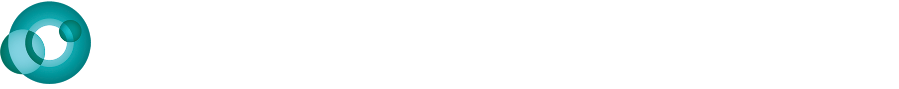 CAAMFest 2025 Logo May 8-11, 2025